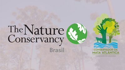 the nature conservancy logo
